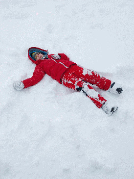 Vollstaendigen Artikel ansehen